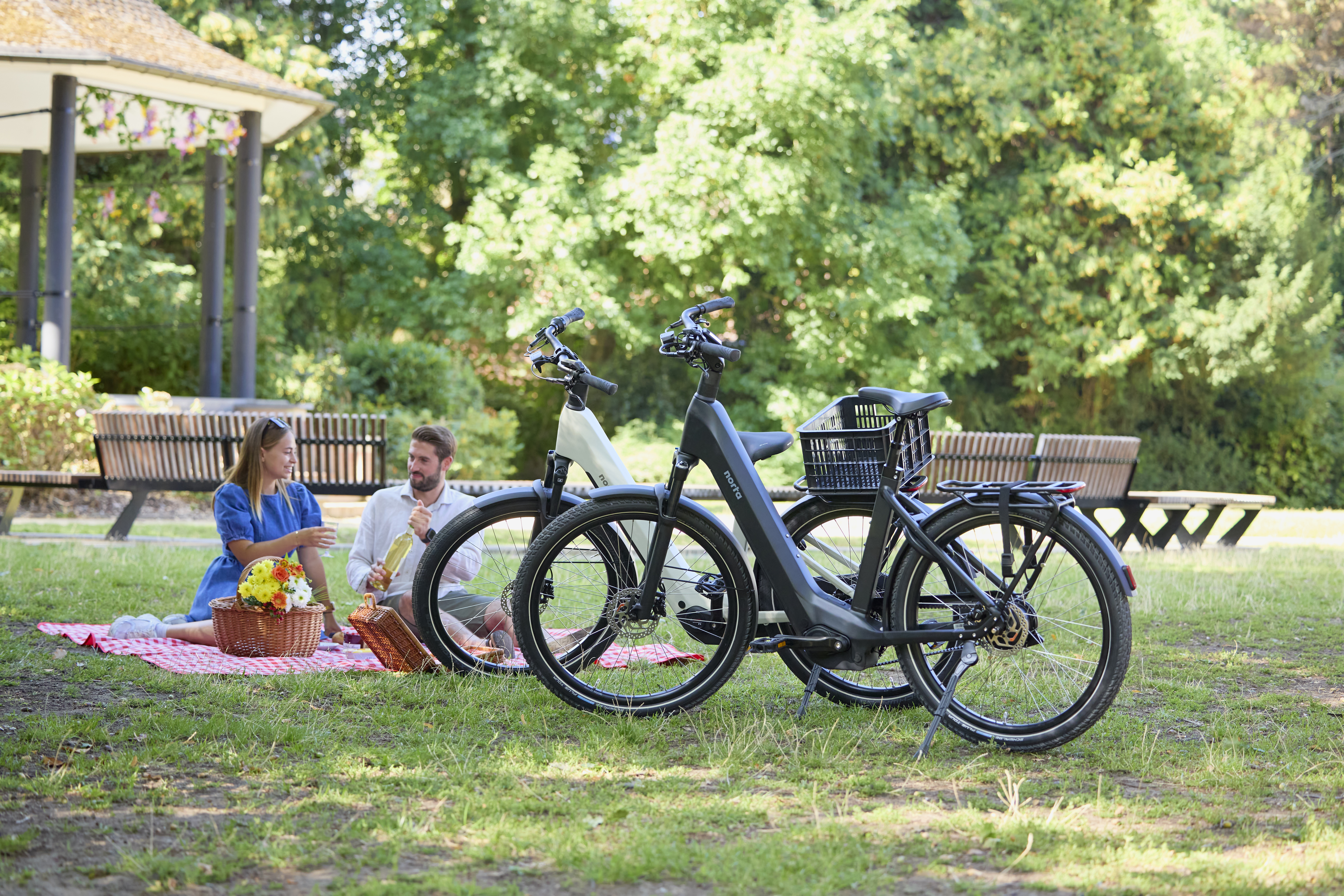 Man en vrouw zijn aan het picknicken in het park. Er staan ook 2 elektrische fietsen op de voorgrond.